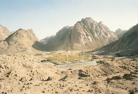 Ahmed Hosni, Go Down Moses 80, 2008-10.