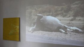 Jasmina Metwaly, The donkey that didn't become a painting, 2011, single channel projection,&nbsp;painting: 110 x 110 cm, video projection: 240 x 130 cm. Installation detail, Cairo Documenta, Cairo, 2012. Courtesy of the artist. 