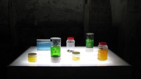 Tom Bogaert, Ant Farm Nablus, ant farm gel experiments on light box, inspired by Eyal Weizman's Walking Through Walls, 2011. &copy; Birzeit University &ndash; ArtSchool Palestine.