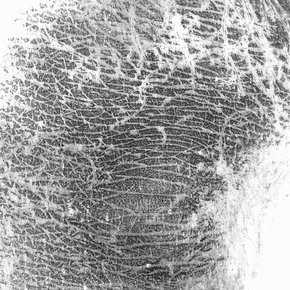 Detail of study for <i>Impunities,</i> 2011. Courtesy and © the artist.