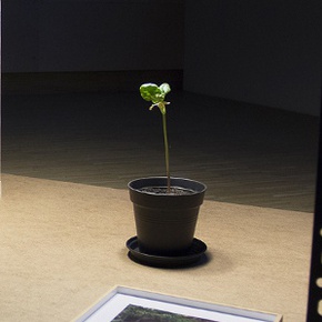 A Century of Centuries