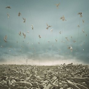 Adel Abidin, still from <em>Symphony</em>, 2012, one channel video installation, 3’15’’, video still: ARTER, 2012. Courtesy of the artist and ARTER.