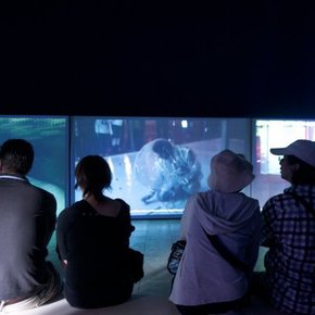 Ahmed Basiony, <i>30 Days of Running in the Place</i>, 2011, five screen video installation.