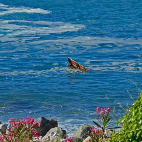 Ibraaz February Newsletter