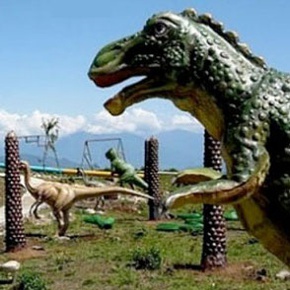 FIELD MEETING Take 4: Thinking Practice