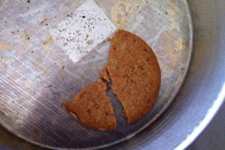 Love Letters to a Union – The Falling Comrades