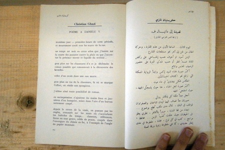 The Missing Link Part Two