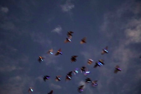  كتابة هذا البحر