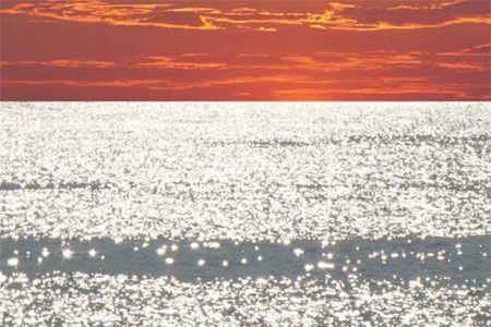 Qalandiya International 2016: This Sea is Mine