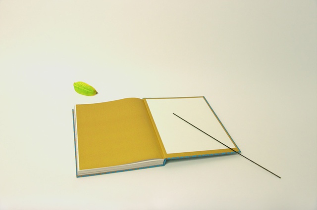 Iman Issa, from the series Common Elements, 2013.