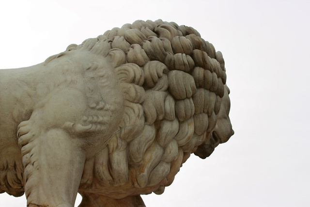 Iman Issa, from the series Common Elements, 2013.