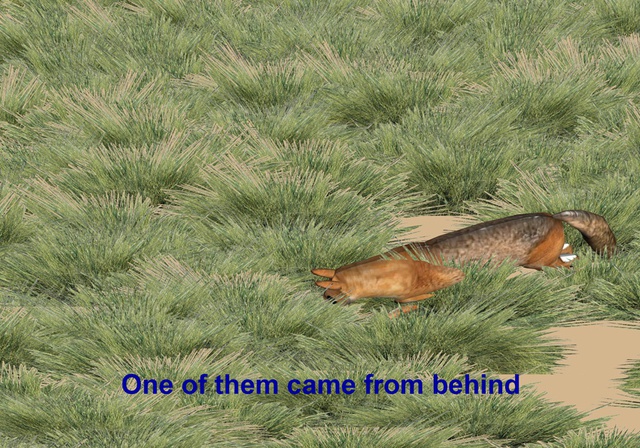 Mohamed Abdelkarim, #3, 2014, digital drawing.