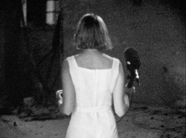 Basma Alsharif, Doppelg&auml;nger, 2014.