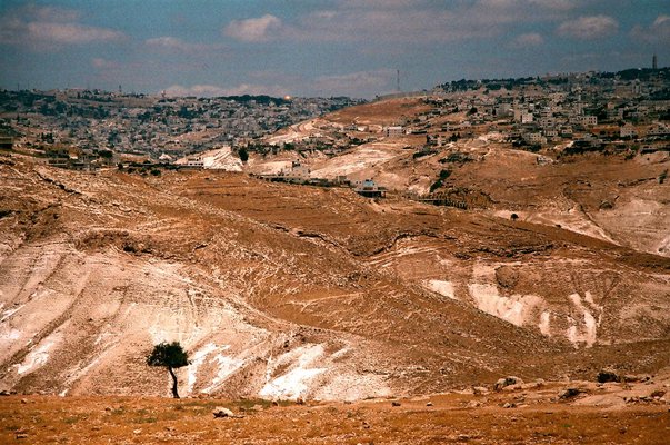 <p>Yazan Khalili<br /> <em>The Landscape,</em>2009<br />From the <em>Regarding Distance</em> project<br />Courtesy of the artist</p>&nbsp;