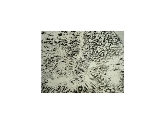 <p>Hatem Imam</p><p><em>Vicarious Dreams</em>, 2011</p><p>A series of seven etchings</p><p>Courtesy of the artist</p>&nbsp;