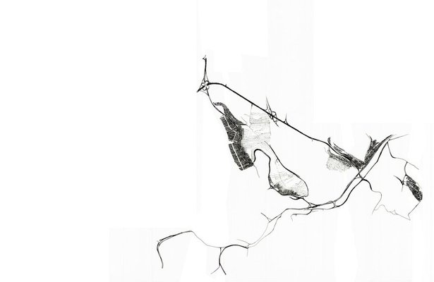 <p>Saba Innab</p><p><em>Untitled</em>, 2011</p><p>Ink on tracing paper</p><p>110 x 70 cm</p><p>Courtesy of the artist</p>&nbsp;
