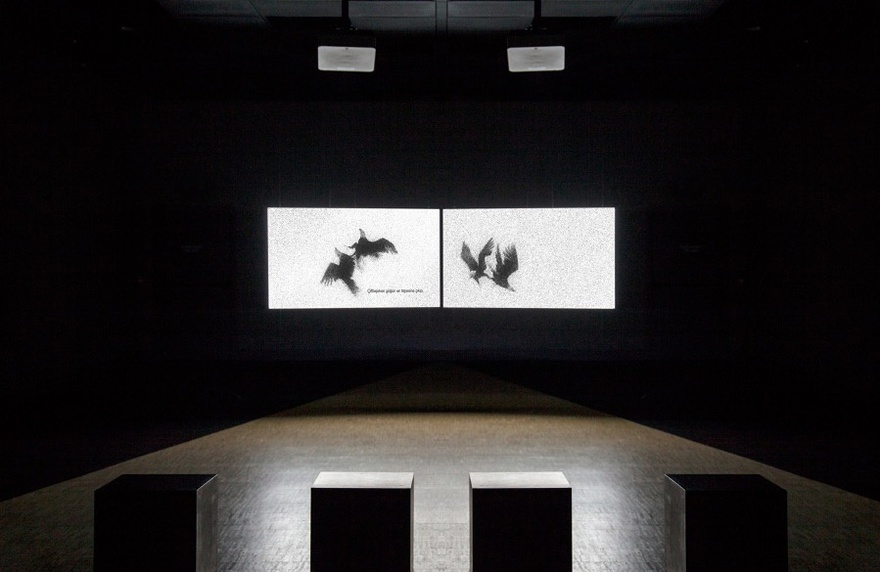 Didem Pek&uuml;n, Of dice and men, 2011-ongoing.