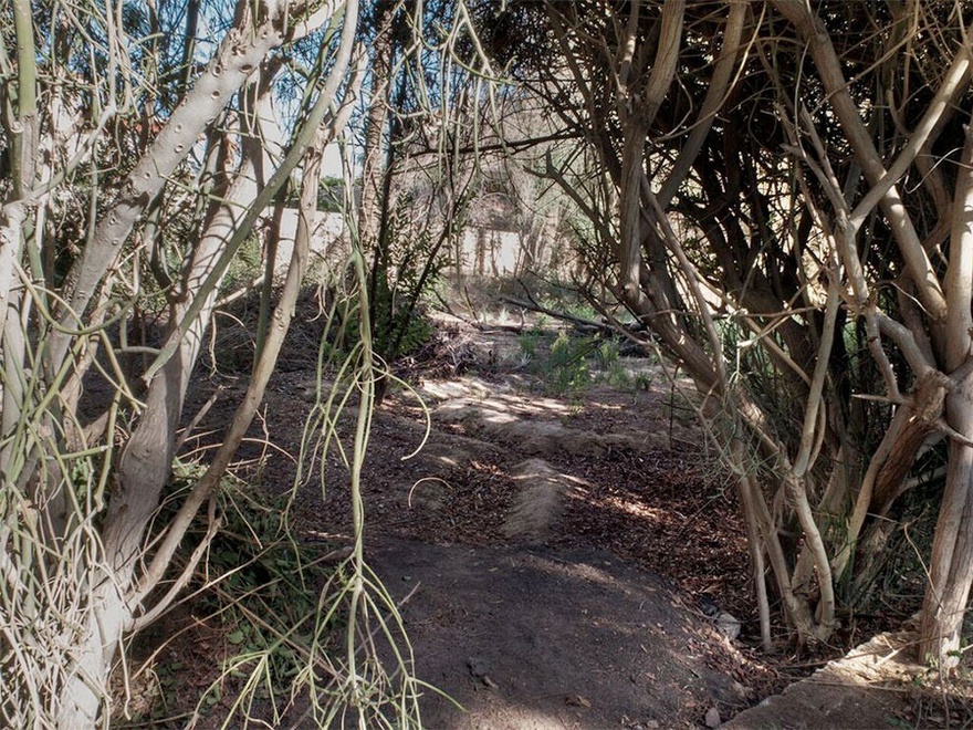 Rana ElNemr, It became known that King Marriout now has a Library #37, 2014. C-Print on Archival paper. 