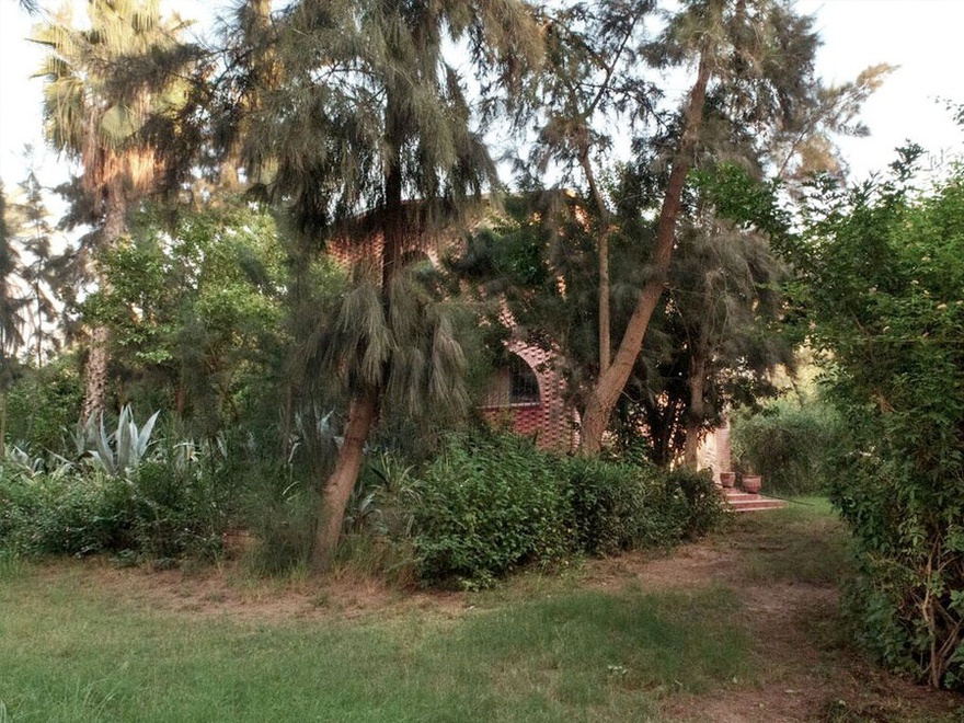 Rana ElNemr, It became known that King Marriout now has a Library #59, 2014. C-Print on Archival paper. 