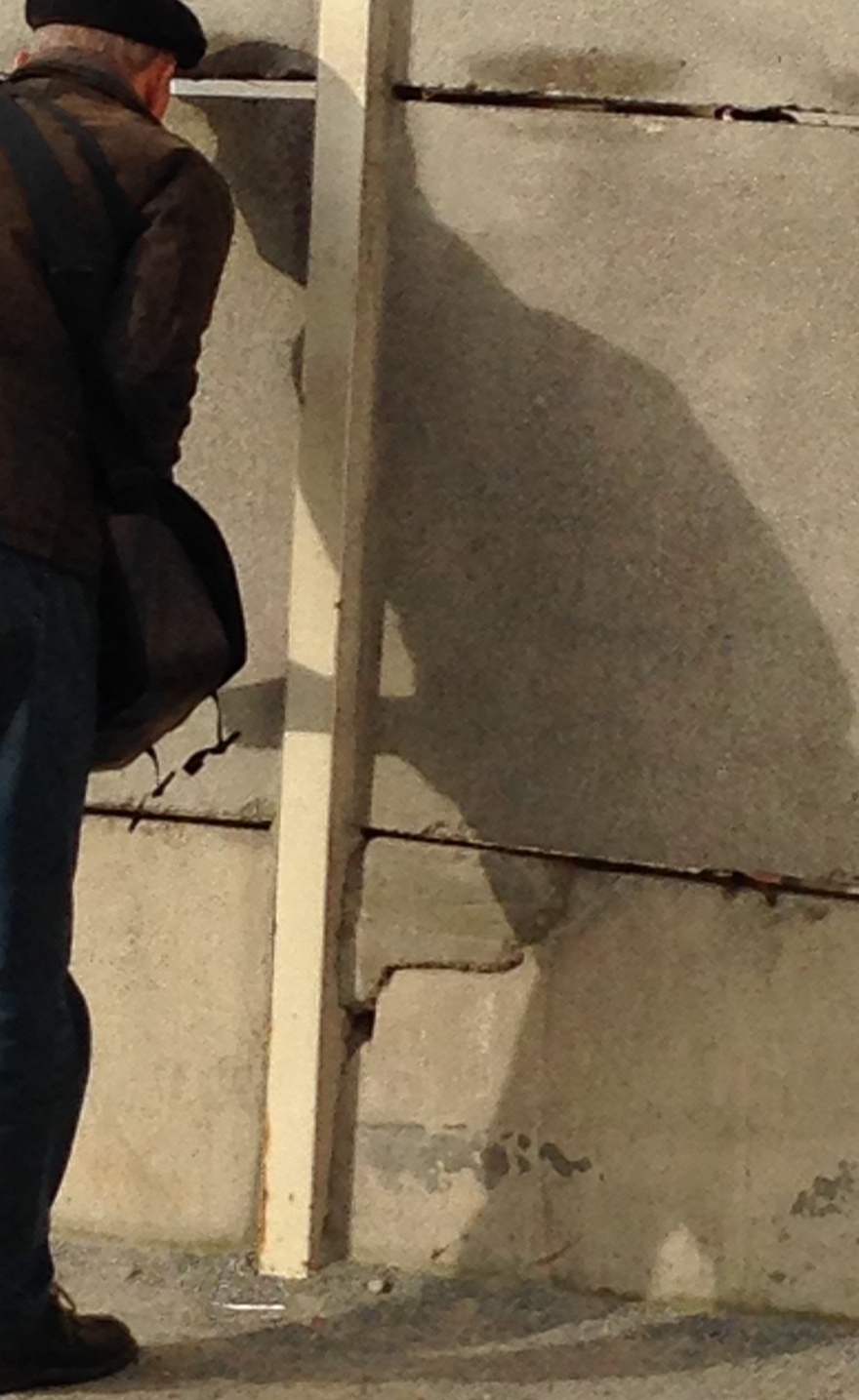 Fernando Resende, Peeping, 2014.