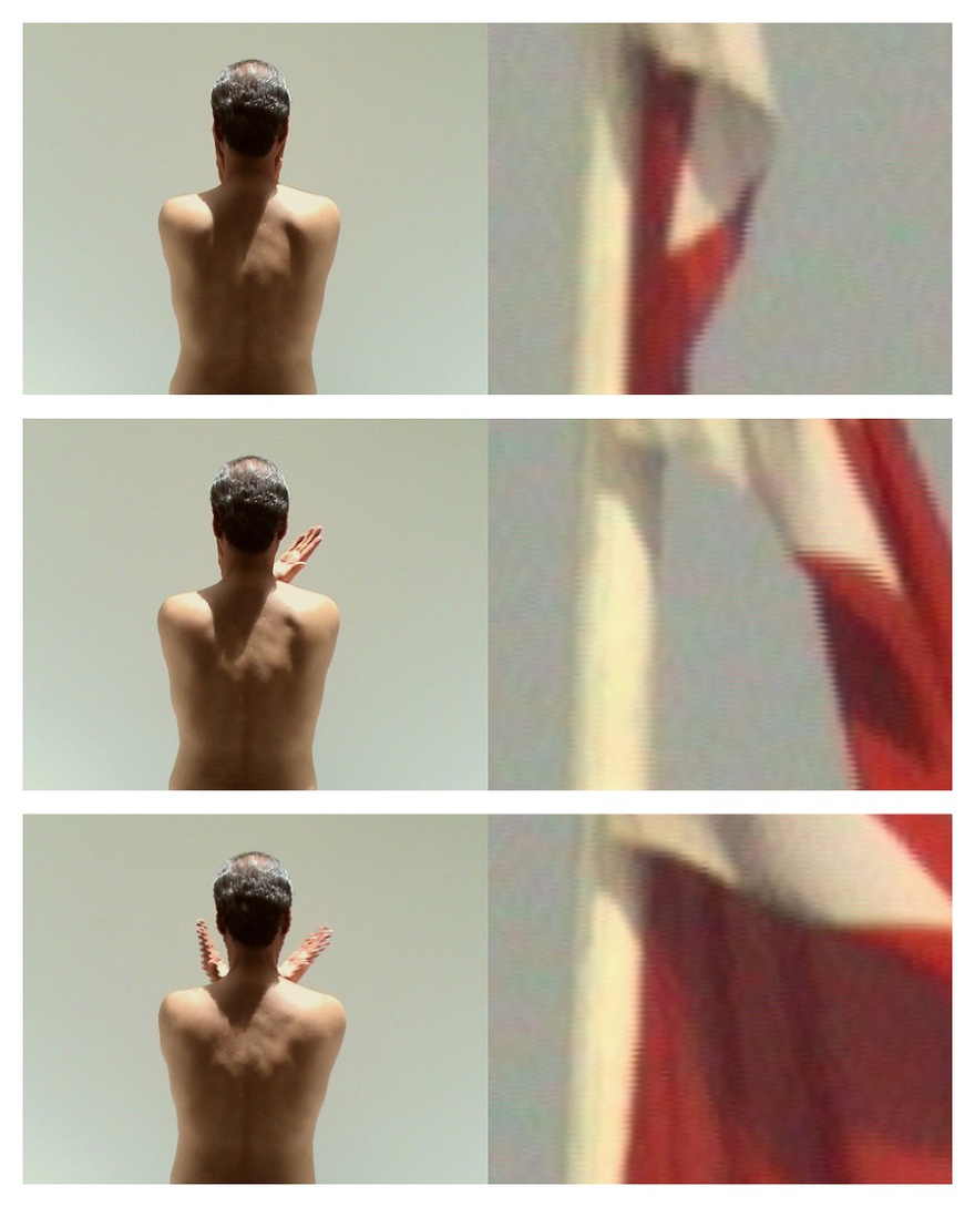 Anas Al-Shaikh, My Land, 2, 2009.