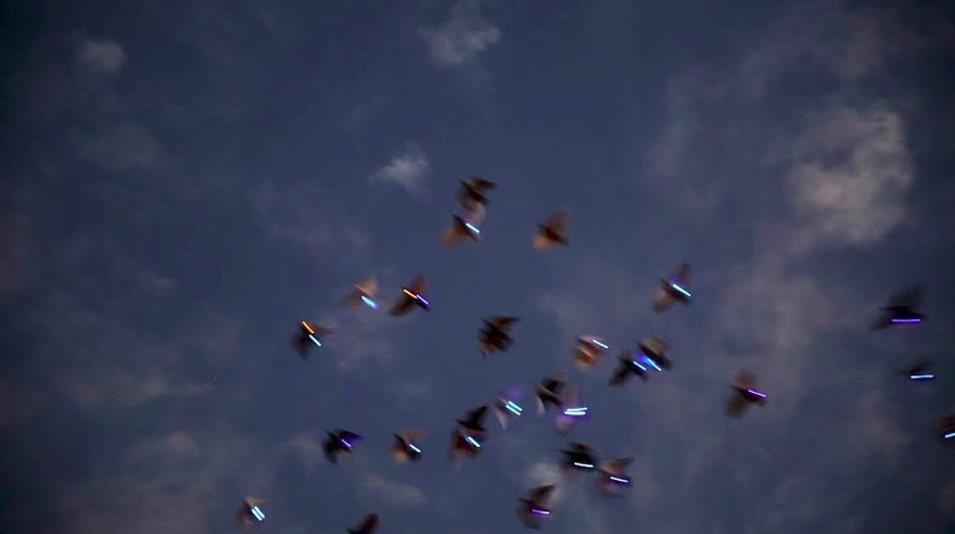 نداء سنقرط، طرّ، عمل أدائي، ٢٠١٦