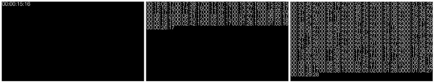 Ieva Saudargaitė, Last Seen, 2016, three stills, video, sound.